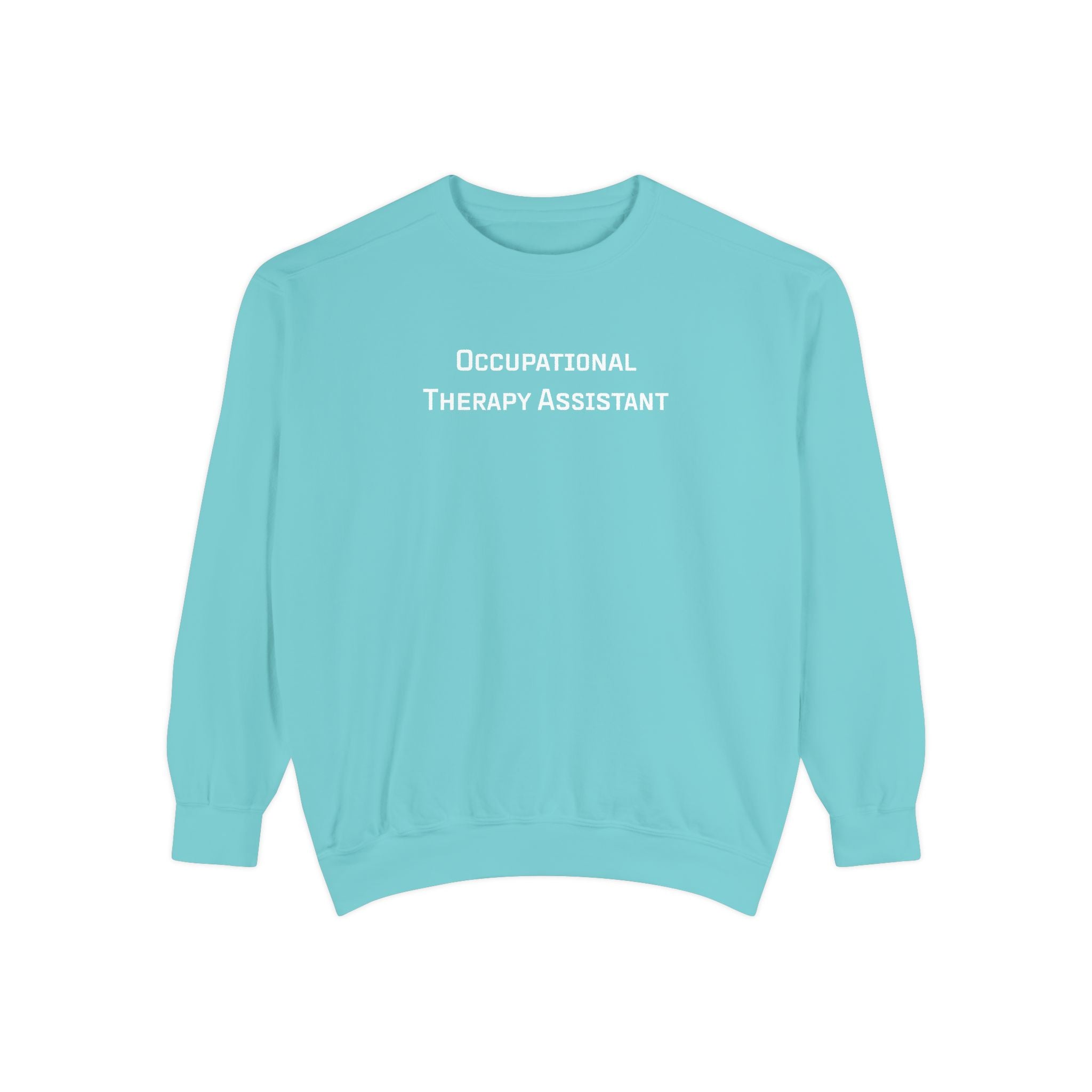 Occupational Therapy Assistant Crewneck Sweatshirt | Retro 70s, Coquette & More | Comfort Colors