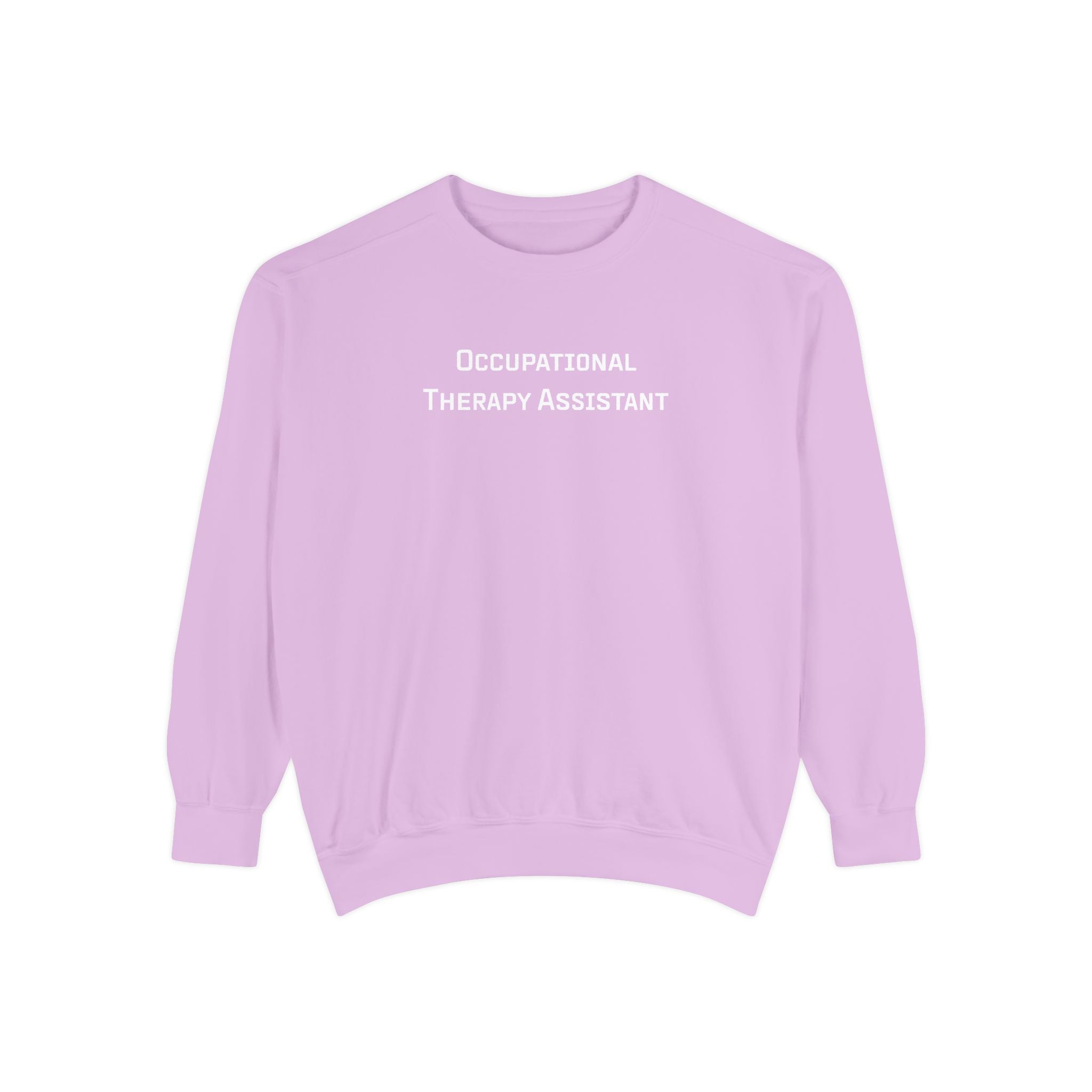 Occupational Therapy Assistant Crewneck Sweatshirt | Retro 70s, Coquette & More | Comfort Colors