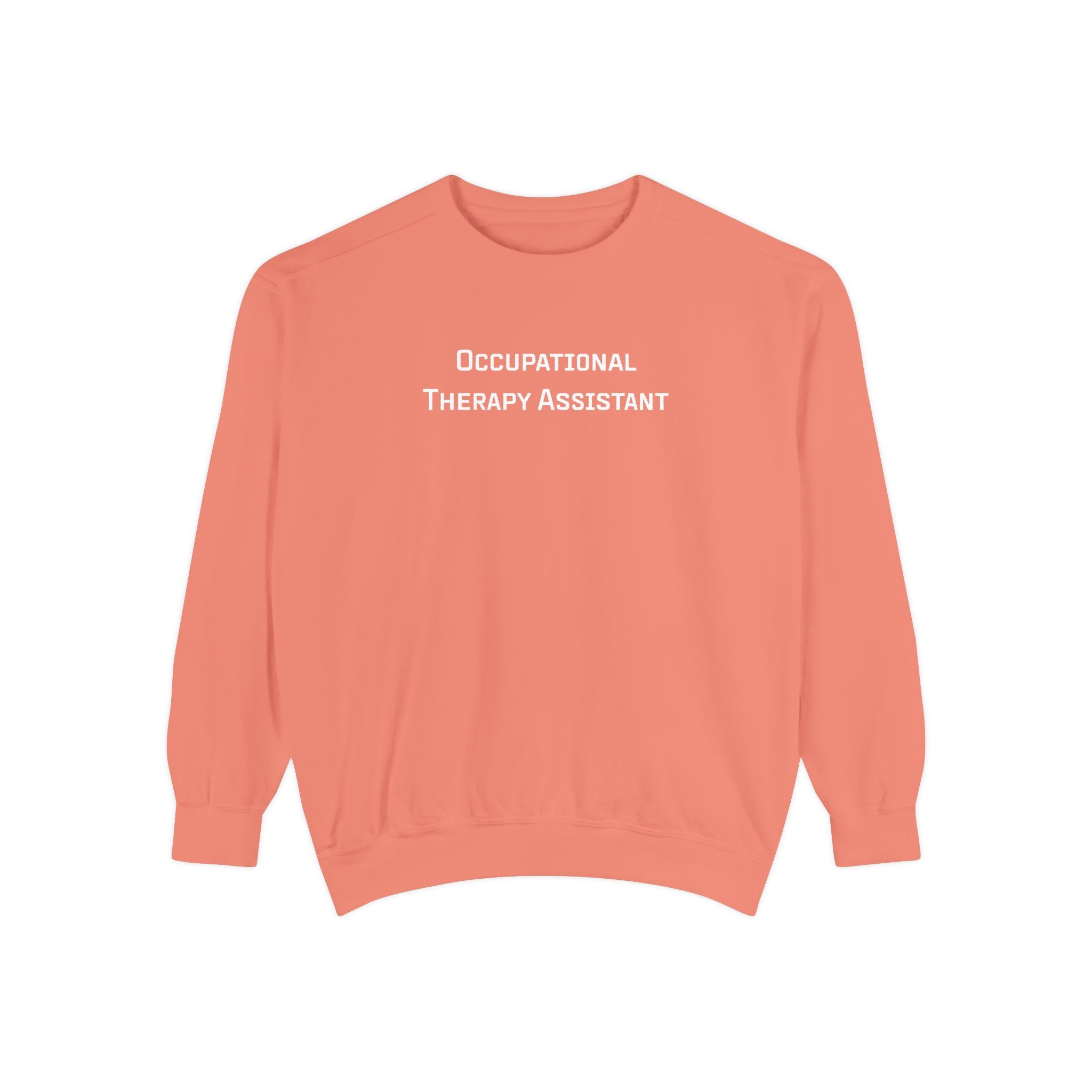 Occupational Therapy Assistant Crewneck Sweatshirt | Retro 70s, Coquette & More | Comfort Colors