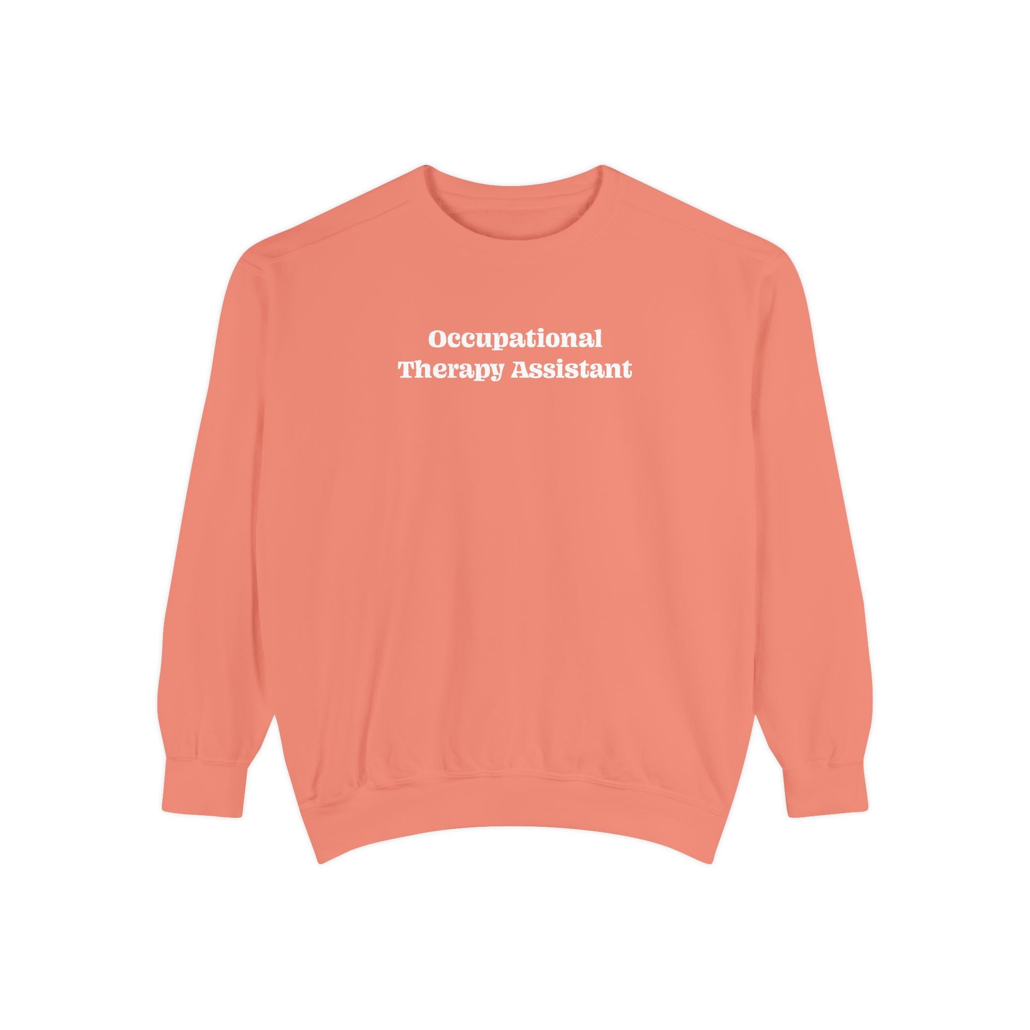 Occupational Therapy Assistant Crewneck Sweatshirt | Retro 70s, Coquette & More | Comfort Colors
