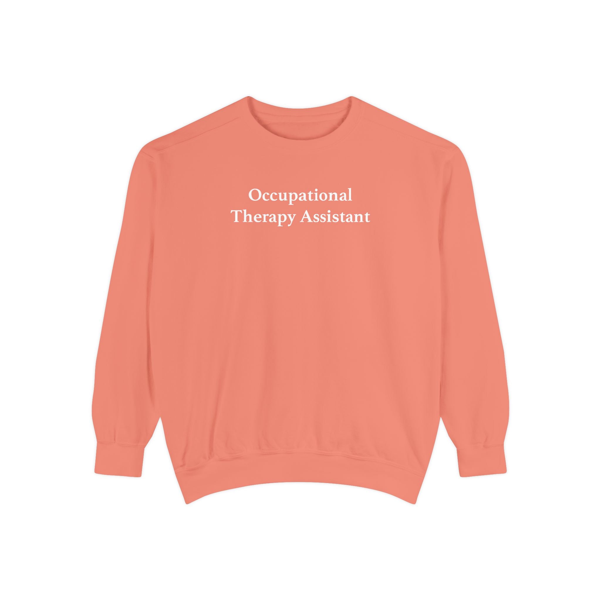 Occupational Therapy Assistant Crewneck Sweatshirt | Retro 70s, Coquette & More | Comfort Colors