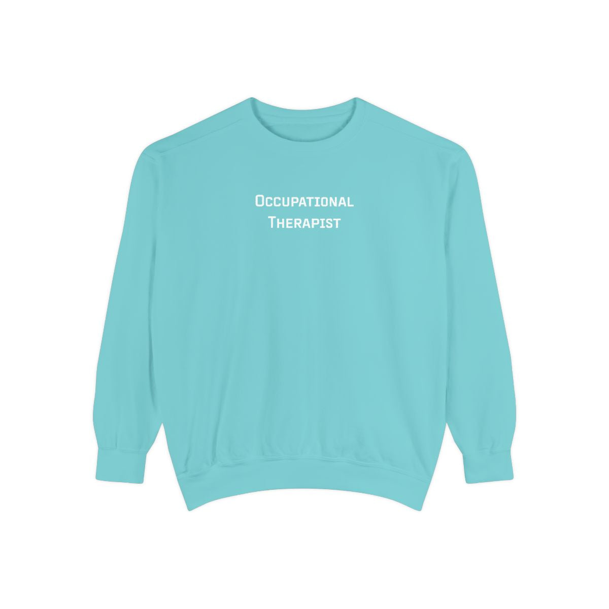 Occupational Therapist Crewneck Sweatshirt | Retro 70s, Coquette & More | Comfort Colors