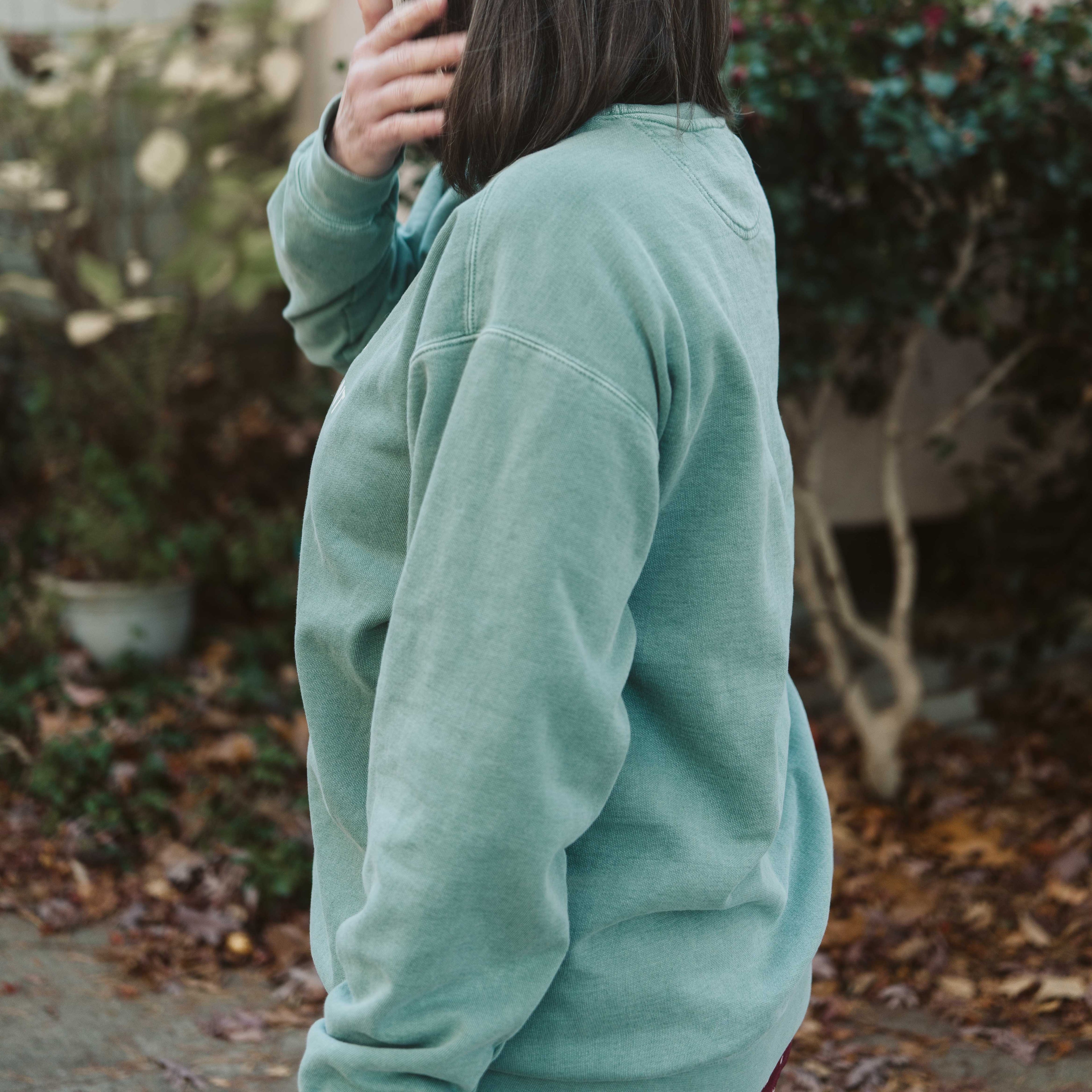 Occupational Therapy Assistant Crewneck Sweatshirt | Retro 70s, Coquette & More | Comfort Colors